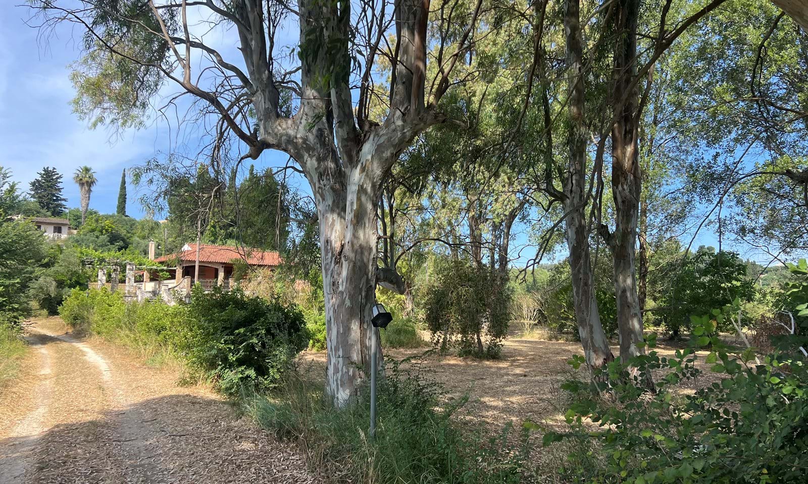 Listing photograph 7 of 20 of the house in Agnos, published by Corfu Home Finders.