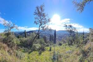 DROSATO LAND, Drosato, Corfu