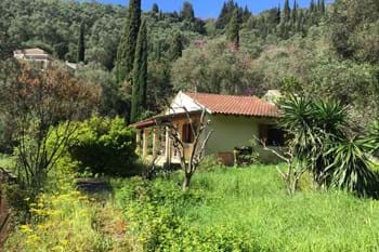 Image for property: 20294