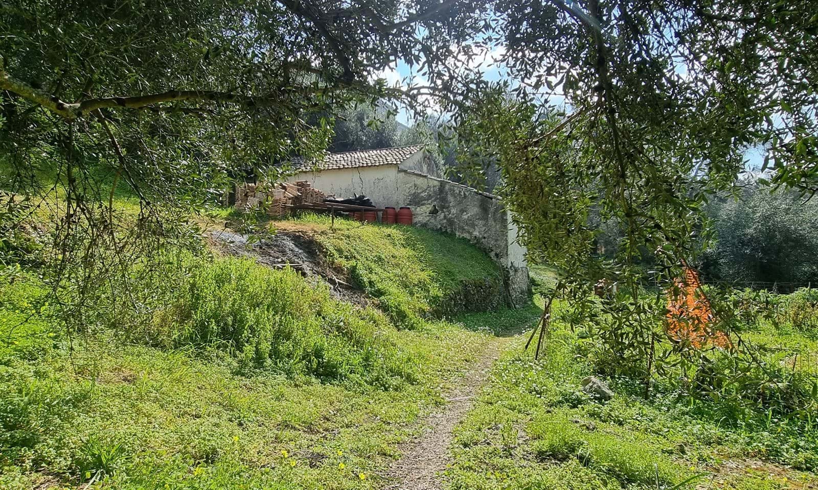 Listing photograph 5 of 9 of the land in Gastouri, published by Corfu Home Finders.
