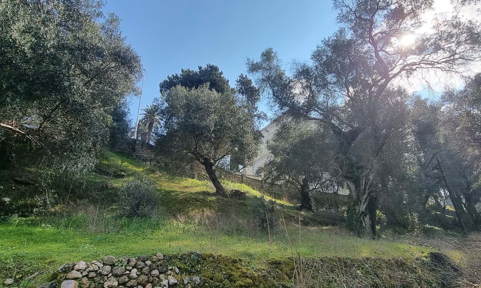 Listing photograph 2 of 9 of the land in Gastouri, published by Corfu Home Finders.