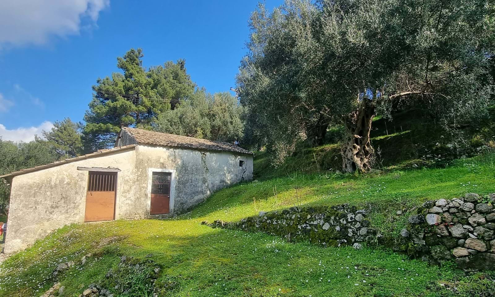 Listing photograph 6 of 9 of the land in Gastouri, published by Corfu Home Finders.