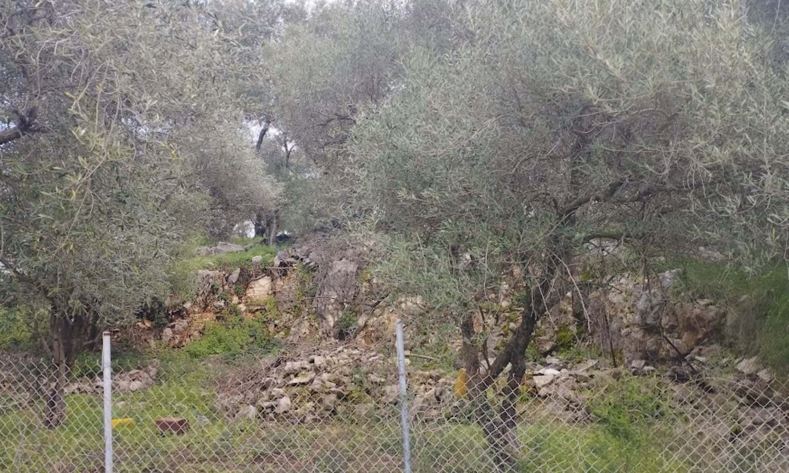 Listing photograph 8 of 8 of the land in Kassiopi, published by Corfu Home Finders.