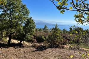 CHESTNUT LAND, Aixeria, Corfu