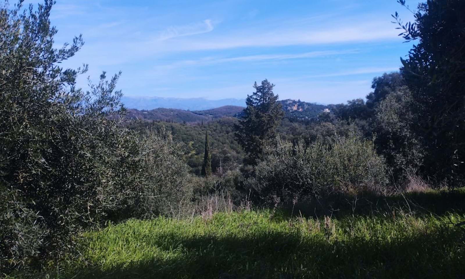 Listing photograph 4 of 5 of the land in Agios Pantaleimonas, published by Corfu Home Finders.