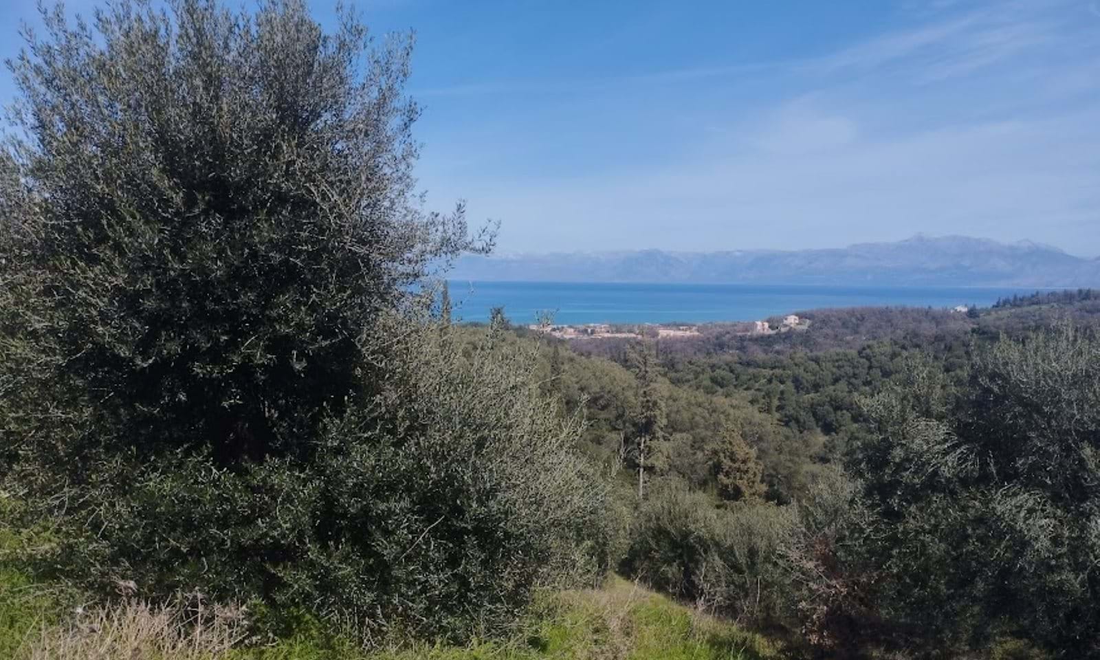 Listing photograph 3 of 5 of the land in Agios Pantaleimonas, published by Corfu Home Finders.