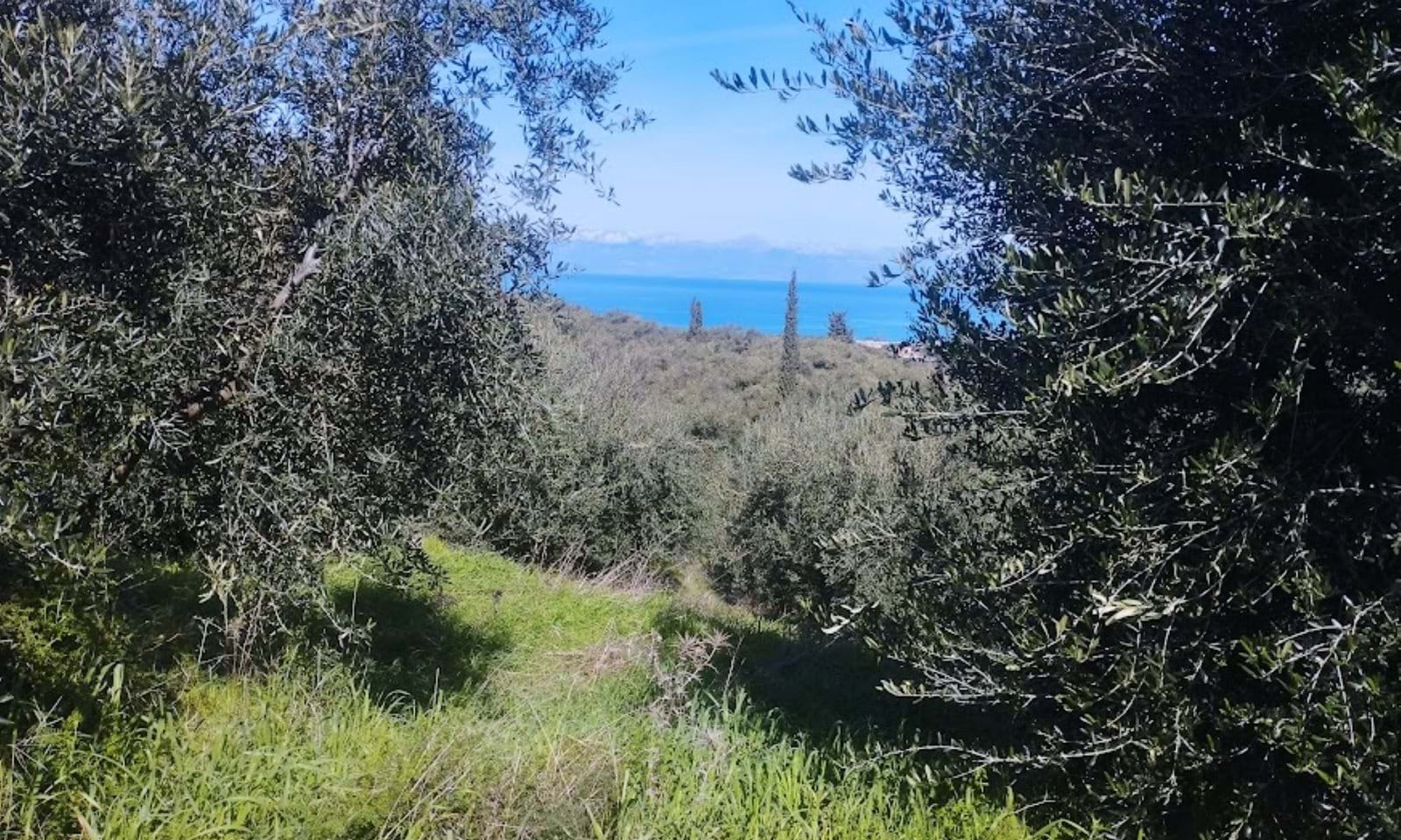 Listing photograph 2 of 5 of the land in Agios Pantaleimonas, published by Corfu Home Finders.