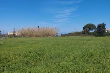 Image for property: 20318