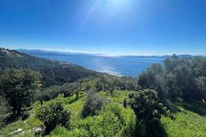 BELLE VUE, Viglatsouri, Corfu