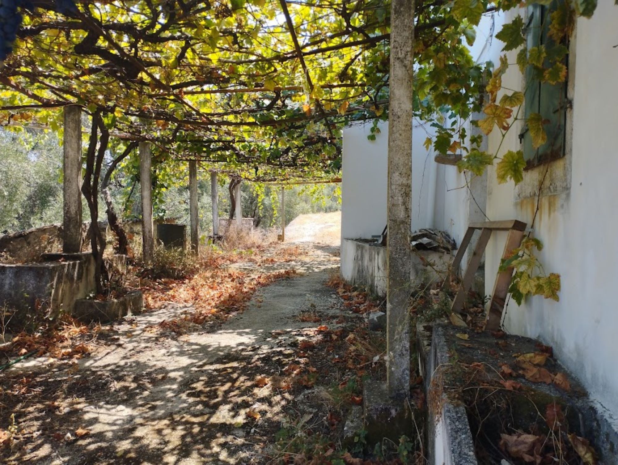 VOUNI, Perithia, Corfu