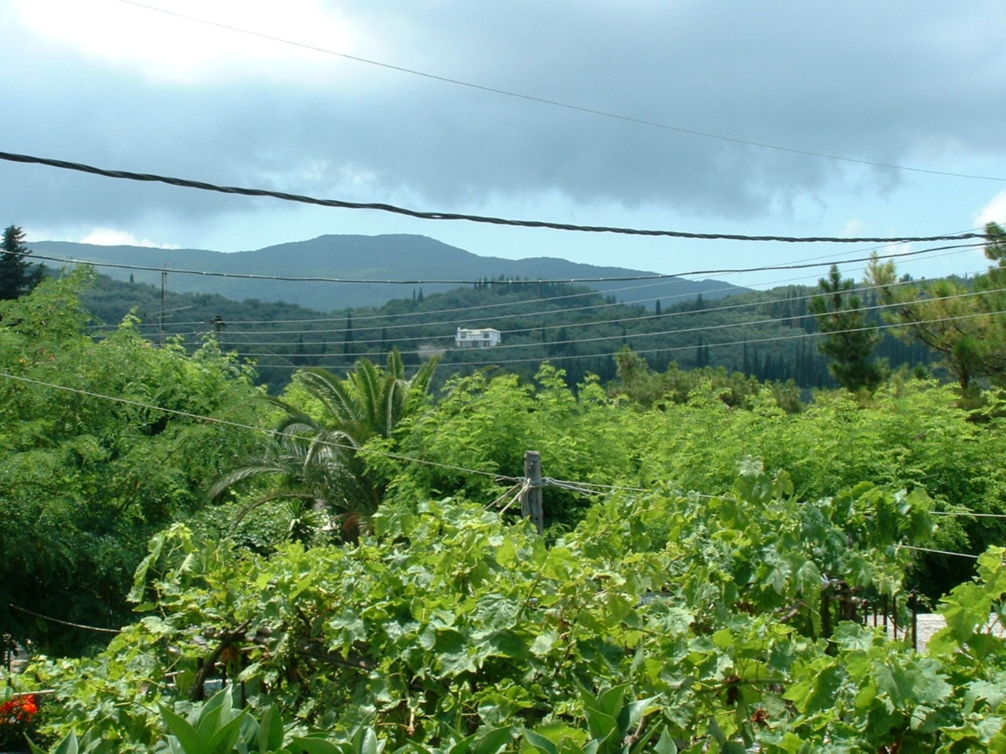 EAGLES NEST, Klimatia