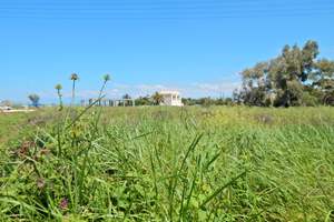SANDY LAND, Almyros, Corfu