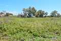 Image for property 20365