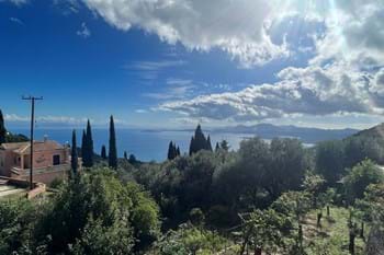 Image for property: 20393