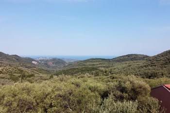 Image for property: 20395