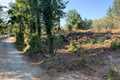 Image for property 20421