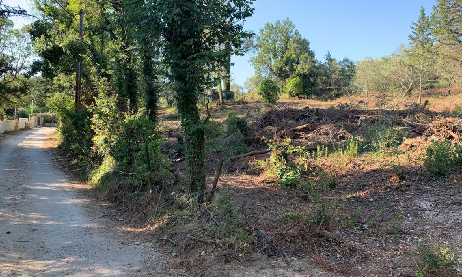 Listing photograph 3 of 8 of the land in Ano Korakiana, published by Corfu Home Finders.