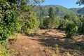 Image for property 20421