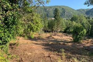 POPPY LAND, Ano Korakiana, Corfu