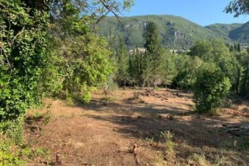 Image for property: 20421