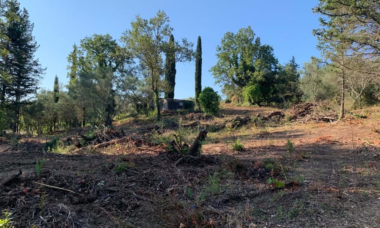 Listing photograph 5 of 8 of the land in Ano Korakiana, published by Corfu Home Finders.