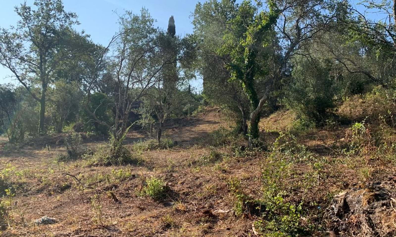 Listing photograph 8 of 8 of the land in Ano Korakiana, published by Corfu Home Finders.