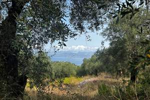 LITTLE CHURCH LAND, Kassiopi, Corfu