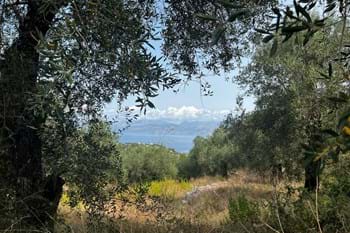 Image for property: 20427