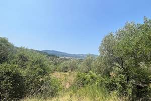 DANILIA LAND, Danilia, Corfu