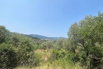 Image for property: 20434