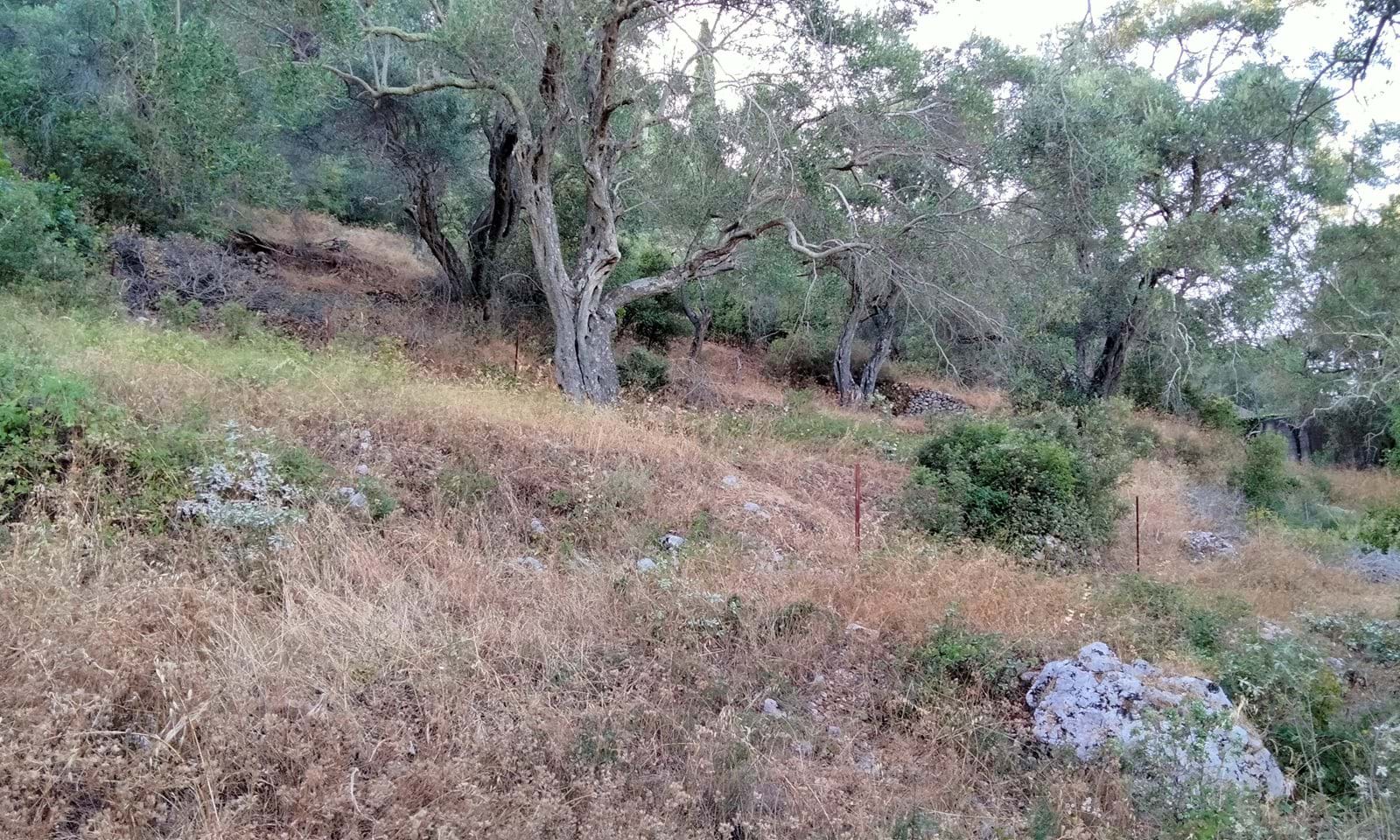 Listing photograph 5 of 7 of the land in Doukades, published by Corfu Home Finders.