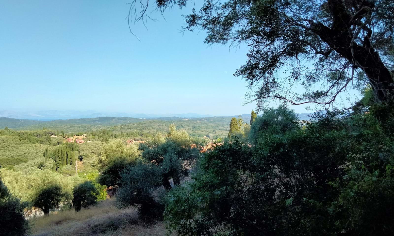 Listing photograph 6 of 7 of the land in Doukades, published by Corfu Home Finders.