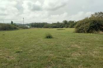 Image for property: 20488