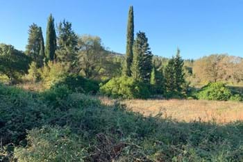 Image for property: 20501
