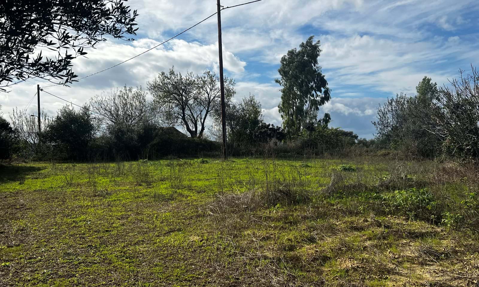 Listing photograph 4 of 6 of the land in Kavadades, published by Corfu Home Finders.