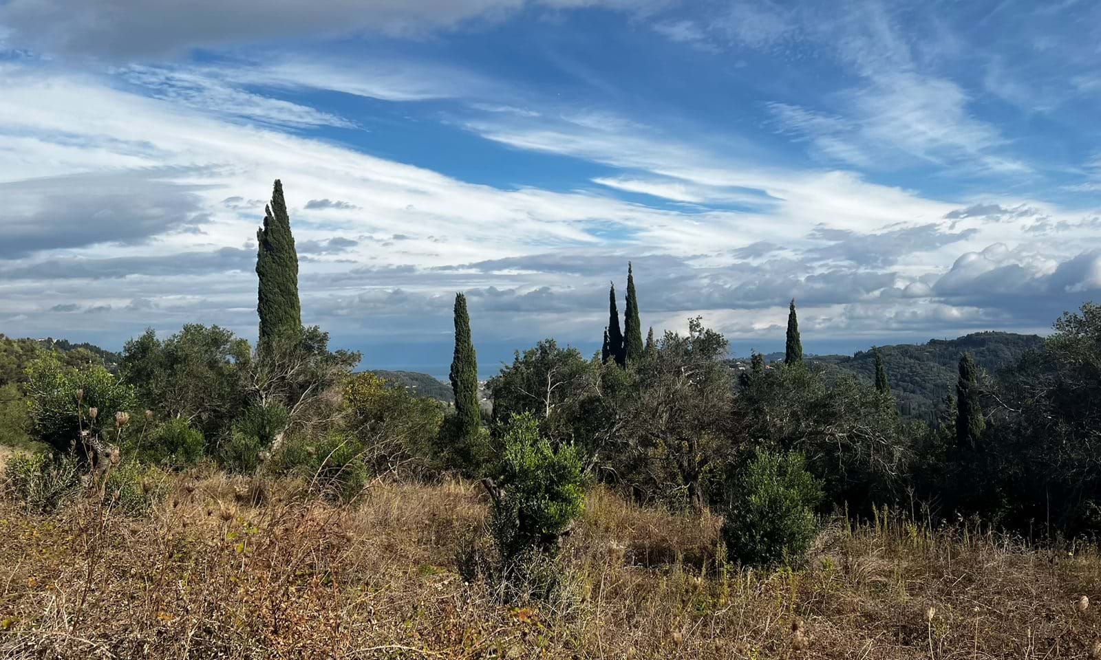 Listing photograph 3 of 6 of the land in Kavadades, published by Corfu Home Finders.