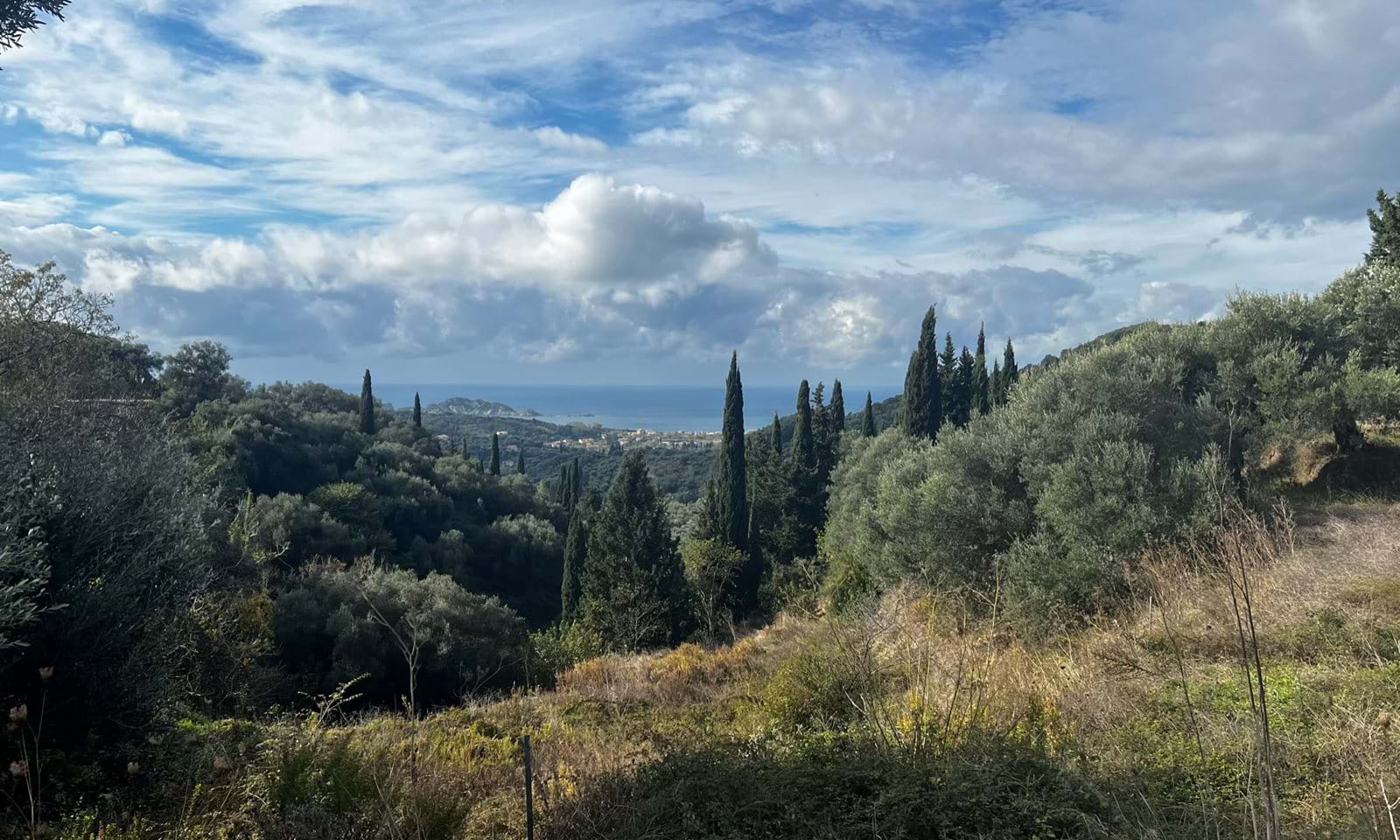 Listing photograph 1 of 6 of the land in Kavadades, published by Corfu Home Finders.