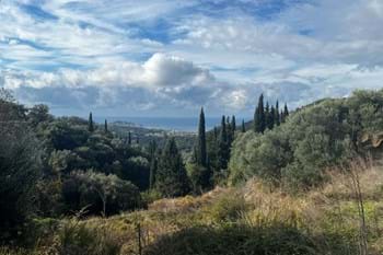 Image for property: 20514