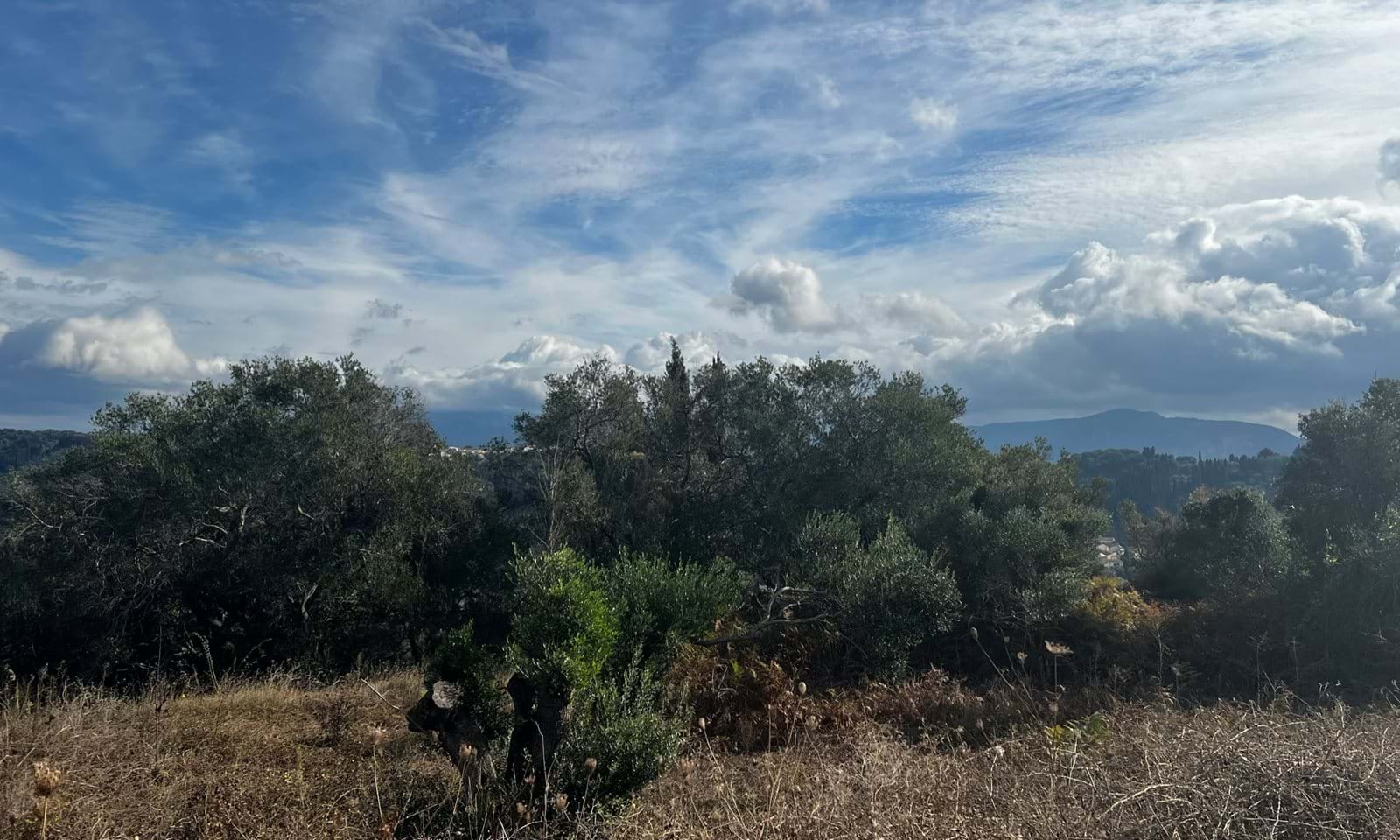 Listing photograph 6 of 6 of the land in Kavadades, published by Corfu Home Finders.