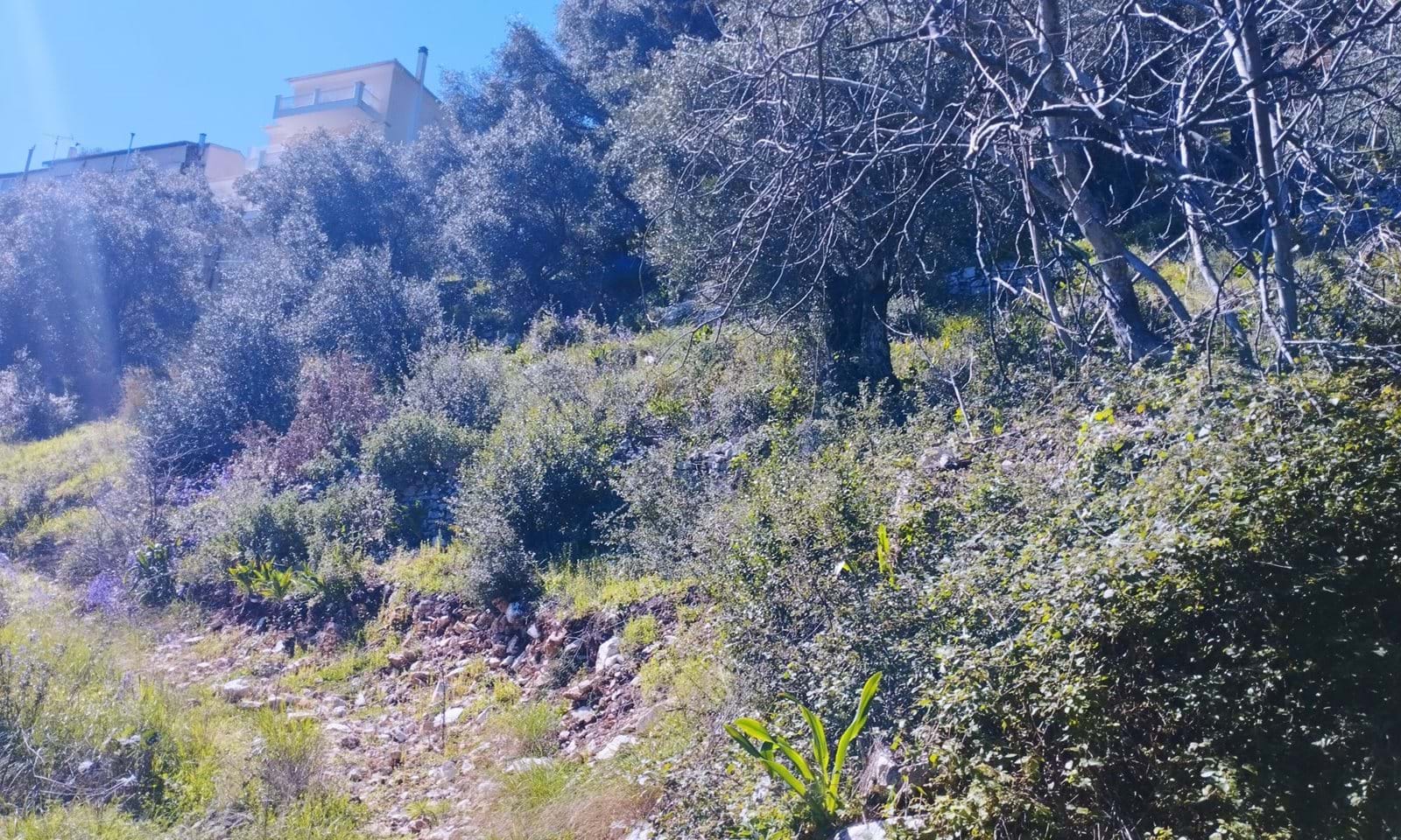 Listing photograph 5 of 6 of the land in Kalami, published by Corfu Home Finders.