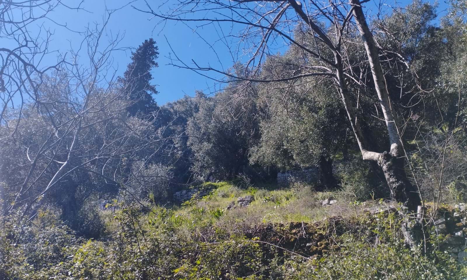 Listing photograph 6 of 6 of the land in Kalami, published by Corfu Home Finders.