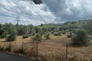 RODA PROJECT, Roda, Corfu