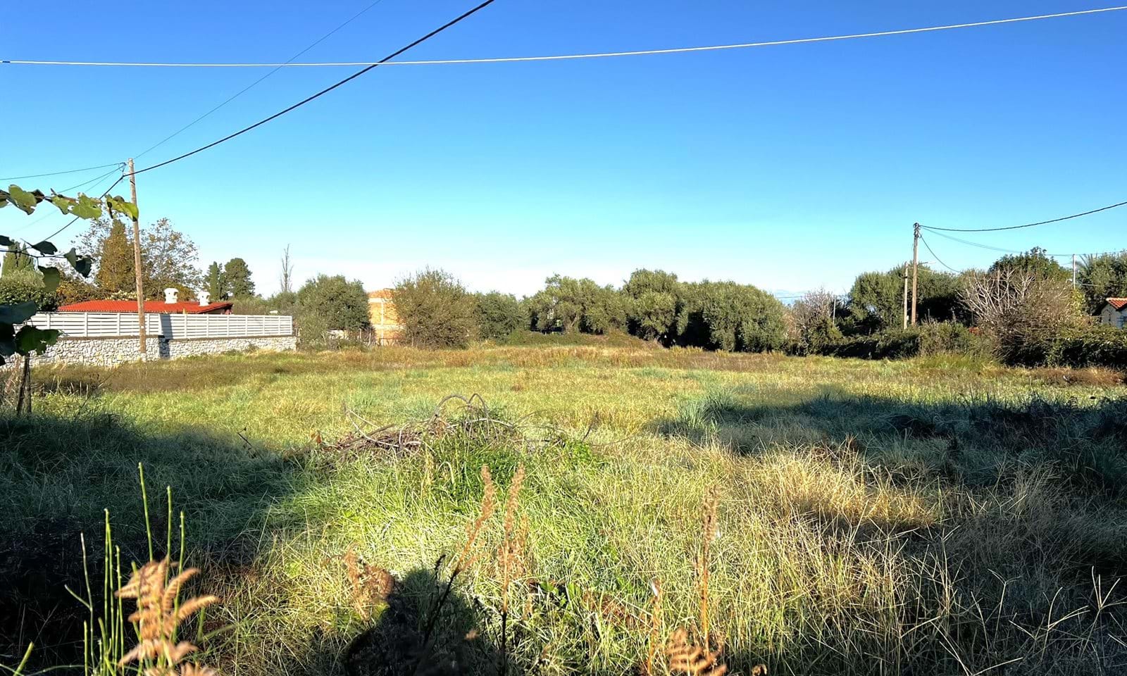 Listing photograph 2 of 4 of the land in Acharavi, published by Corfu Home Finders.