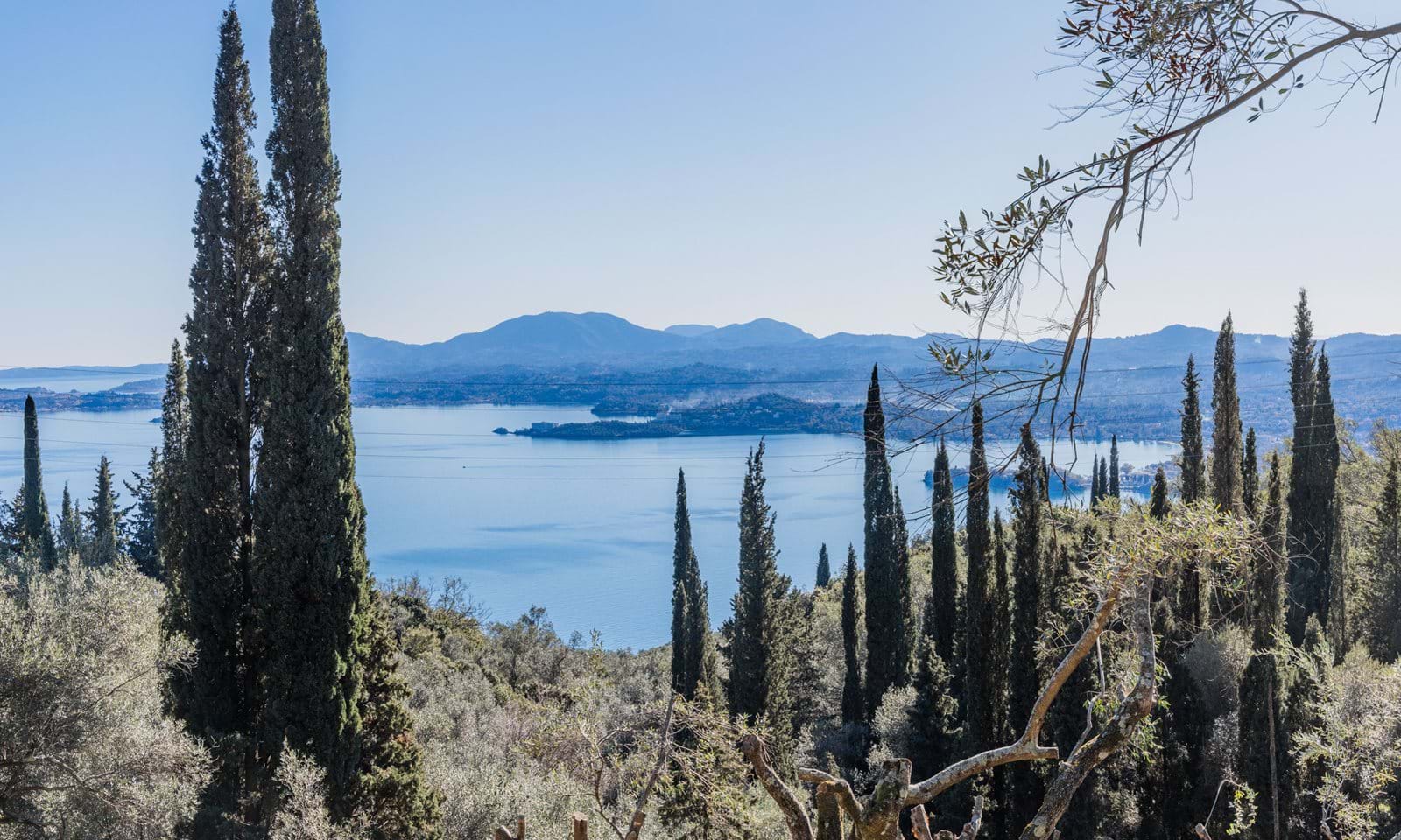 Listing photograph 6 of 8 of the land in Spartilas, published by Corfu Home Finders.