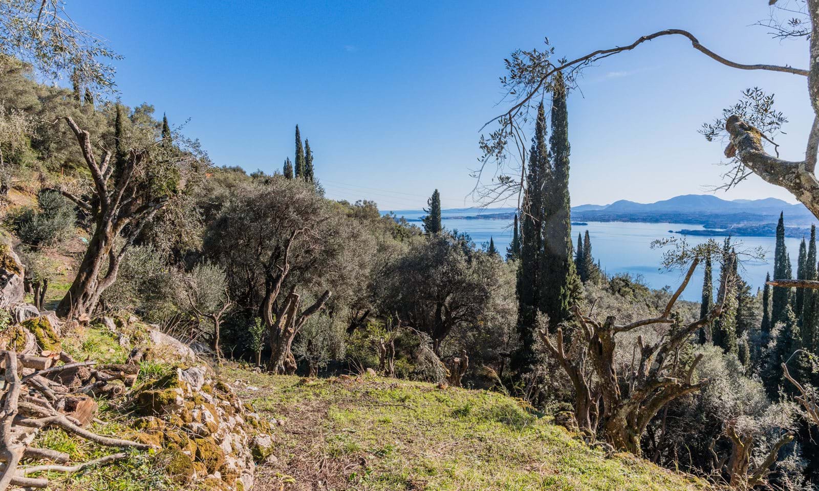 Listing photograph 7 of 8 of the land in Spartilas, published by Corfu Home Finders.