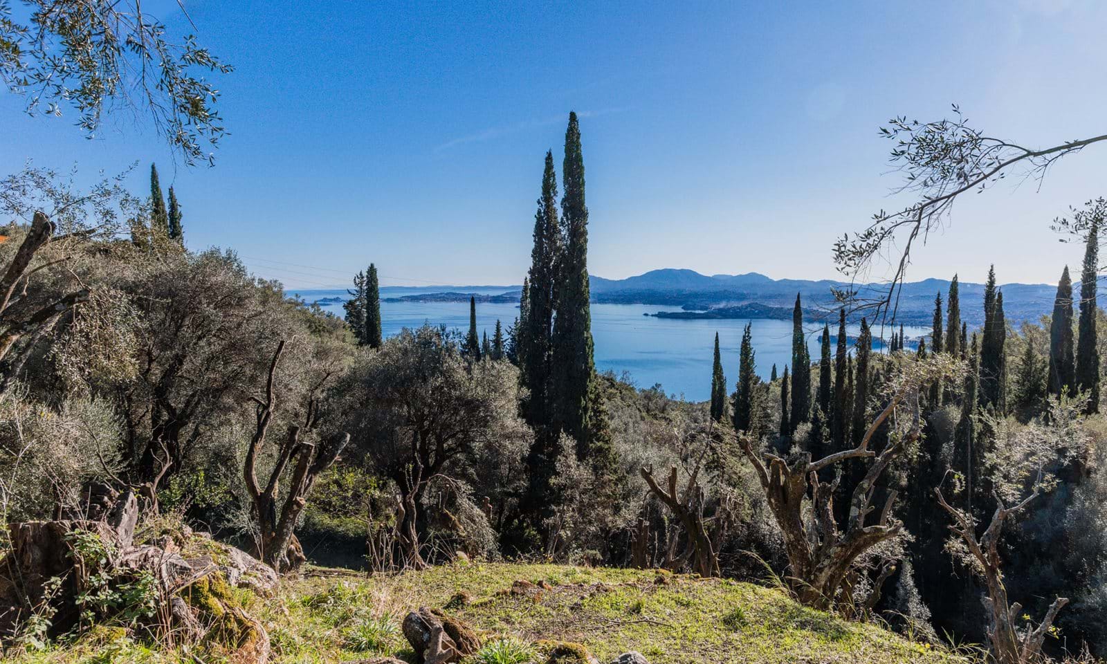 Listing photograph 5 of 8 of the land in Spartilas, published by Corfu Home Finders.
