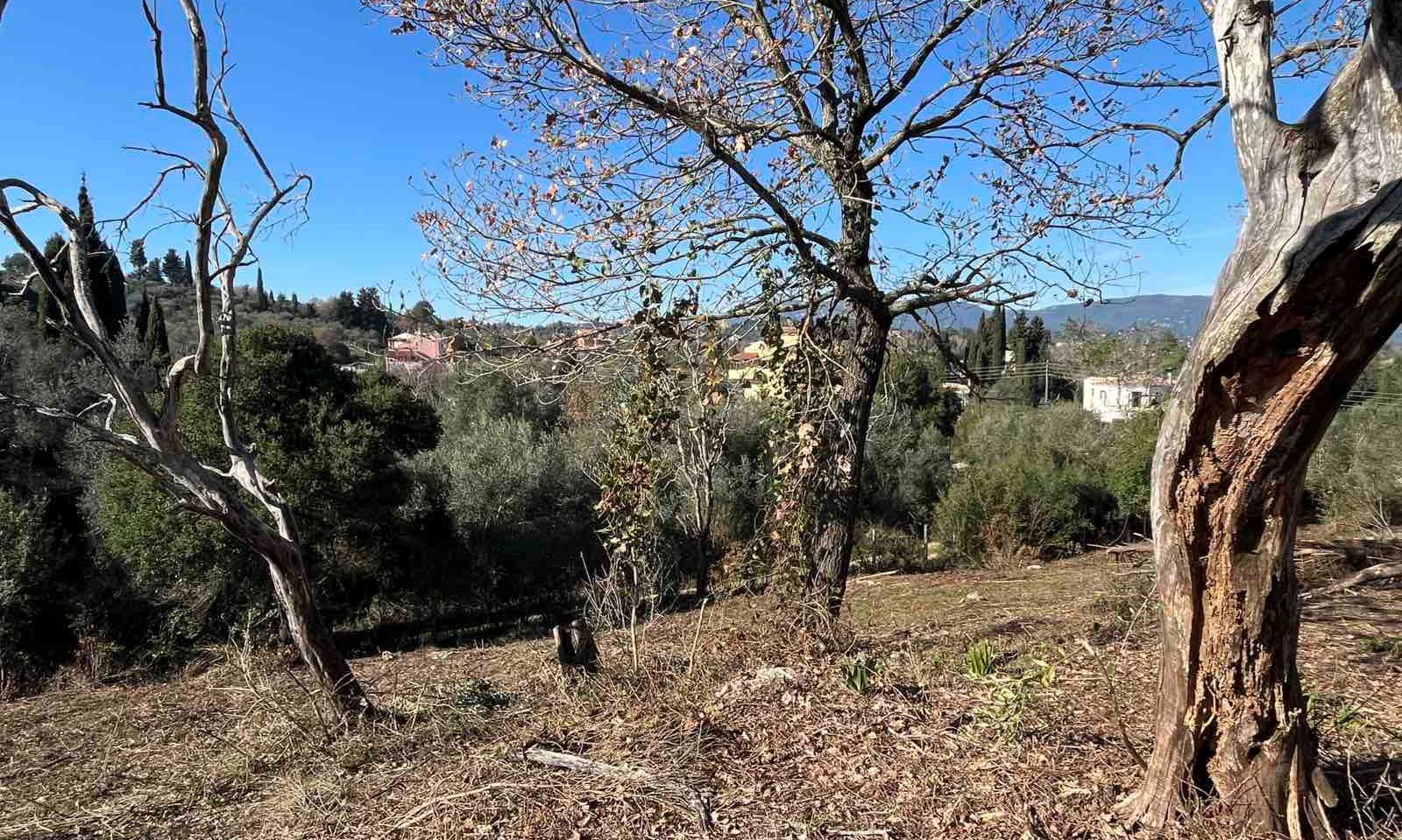 Listing photograph 4 of 6 of the land in Gouvia, published by Corfu Home Finders.