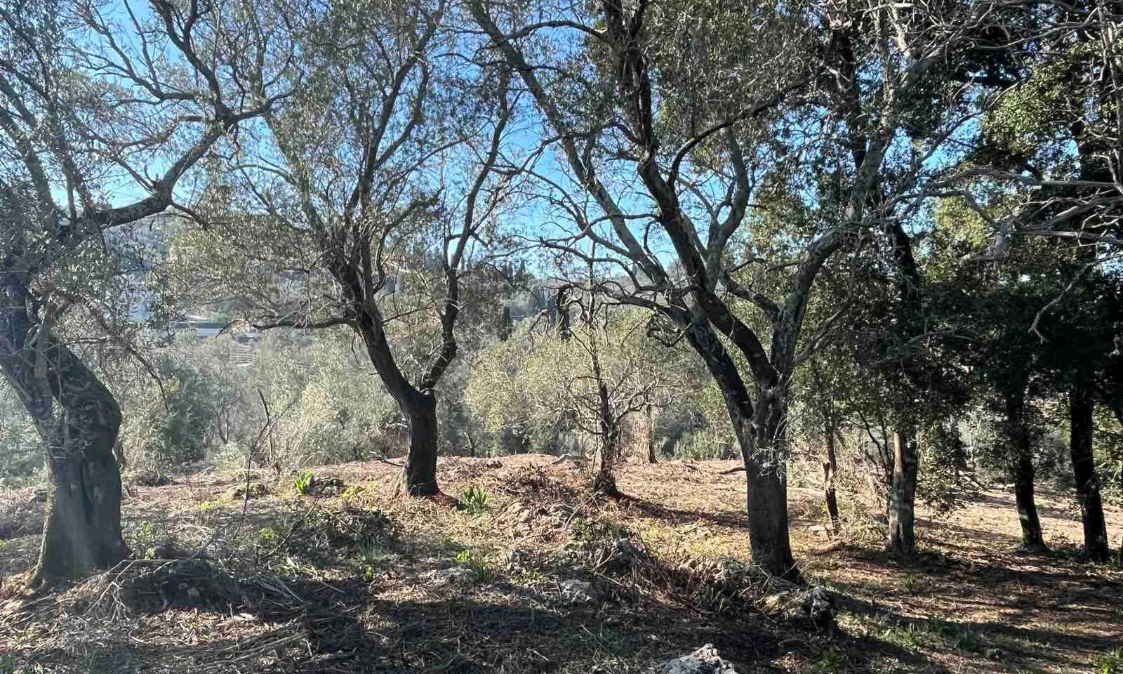 Listing photograph 3 of 6 of the land in Gouvia, published by Corfu Home Finders.