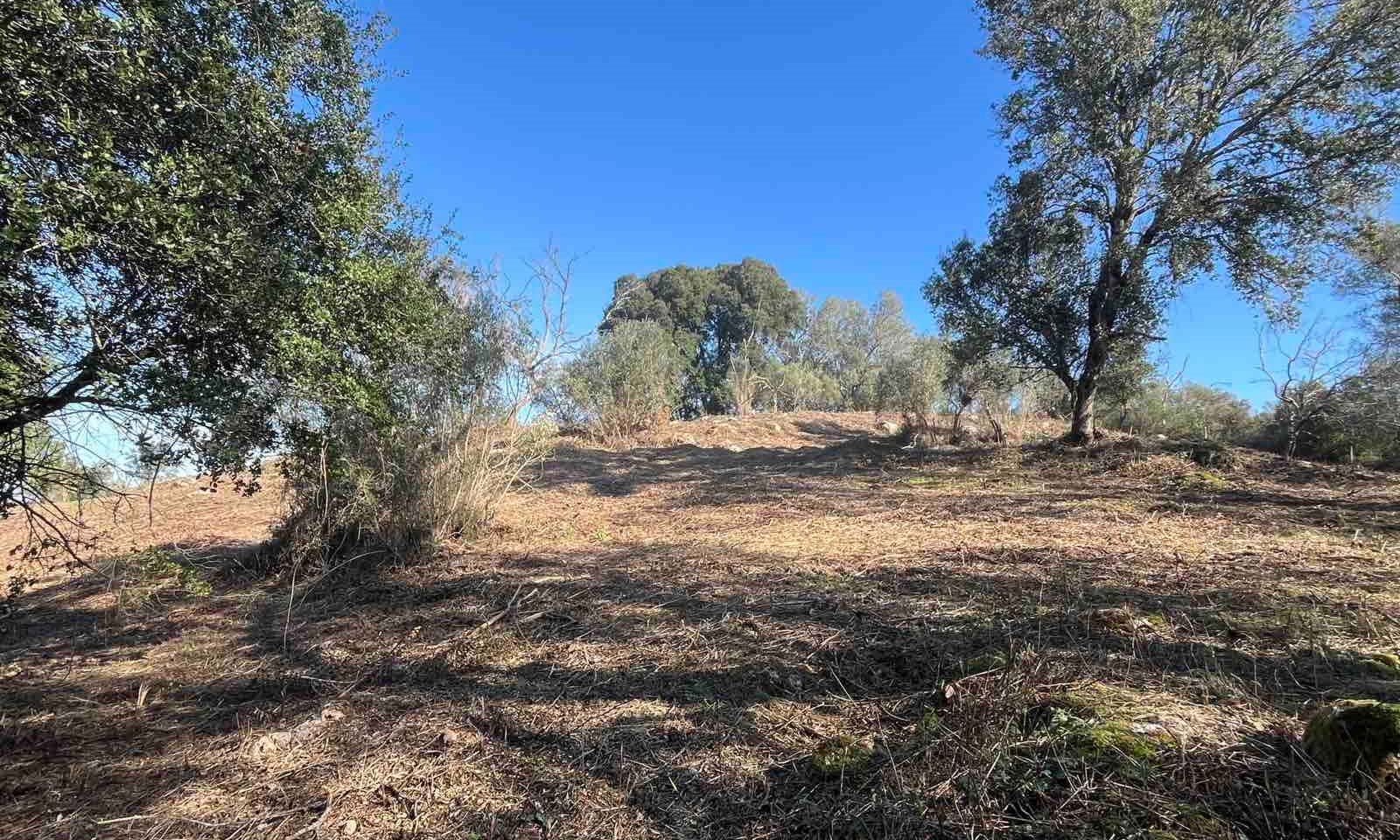 Listing photograph 6 of 6 of the land in Gouvia, published by Corfu Home Finders.
