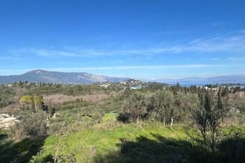 Image for property: 20542
